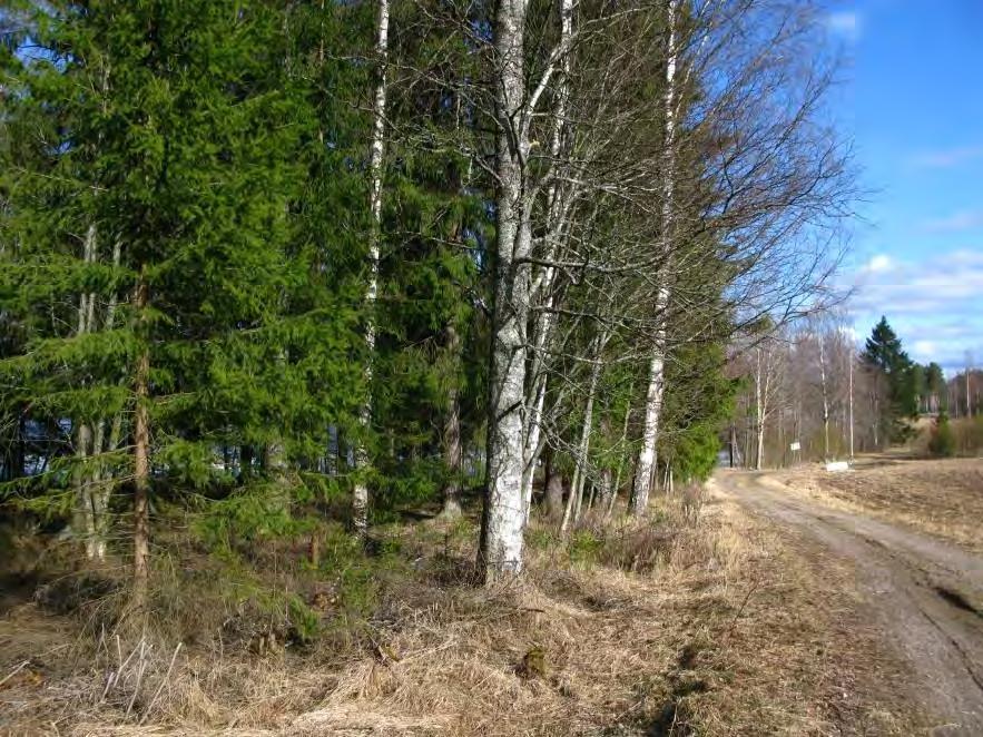 FCG SUUNNITTELU JA TEKNIIKKA OY Raportti 5 (12) Kuva 2.