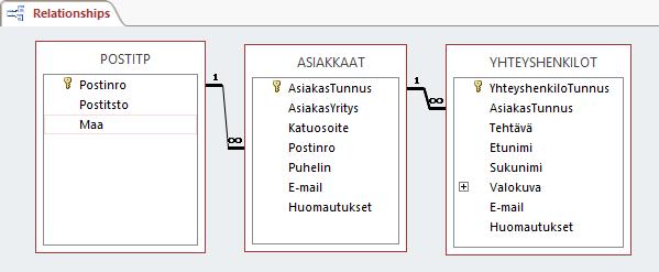 Testiaineiston syöttäminen Sinun tulee syöttää vähintään 30-50 aitoa tai aitoa mukailevaa tietuetta, jotta voit määrittää myöhemmin kunnollisia kyselyjä ja raportteja.