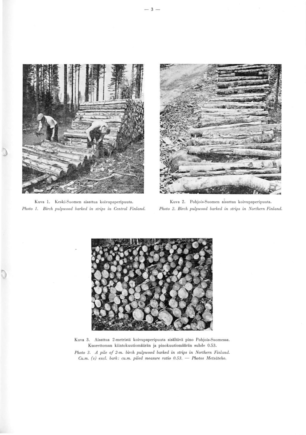 -3- Kuva 1. Photo 1. Keski-Suomen aisattua koivupaperipuuta. Birch pulpwood barked in strips in Central Finland. Kuva 2. Pohjois-Suomen aisattua koivupaperipuuta. Photo 2.