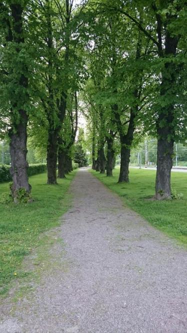Asemakaavan tavoiteaikataulu Aloitusvaihe 12/2014-03/2015 Viranomaisneuvottelu 6.2.2015 OAS nähtävillä 8.4.-7.5.2015 Yleisötilaisuus 22.4.2015 Luonnosvaihe 03-10/2015 YHLA 08/2015 Nähtävillä 09/2015 Yleisötilaisuus 9.