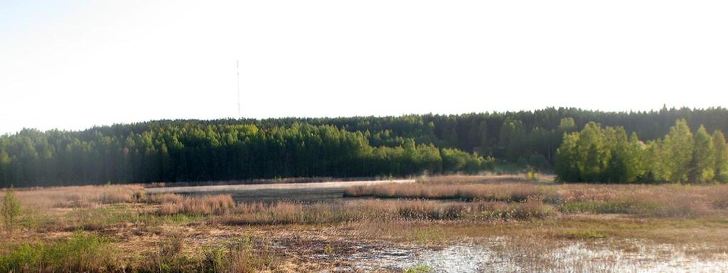 Tampereen Teiskon Nuutilanlahden ranta- ja vesilinnusto 2012 sekä alueen viitasammakot ja