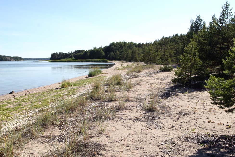 Nauvon Sandön perhosten jatkoselvitys ja