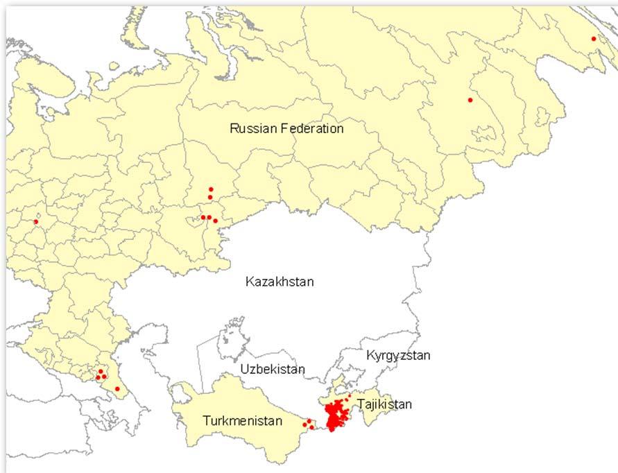 Genetic sequencing: at least 9 separate importations into Russia & Turkmenistan Irkutskaya Khabarovsk