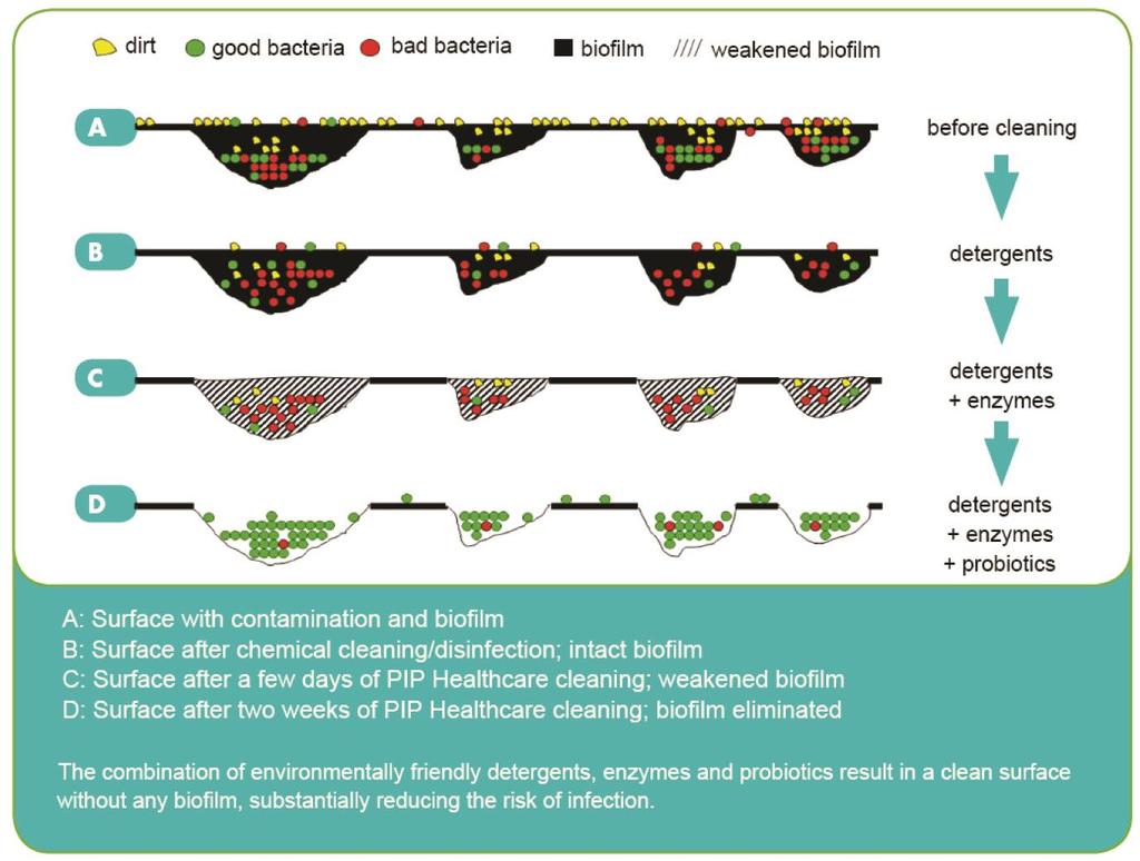 3. PIP Terveydenhoito Toimintamekanismi Jokaiselta pinnalta löytyy biofilmiä, joka koostuu mikro-organismeista.