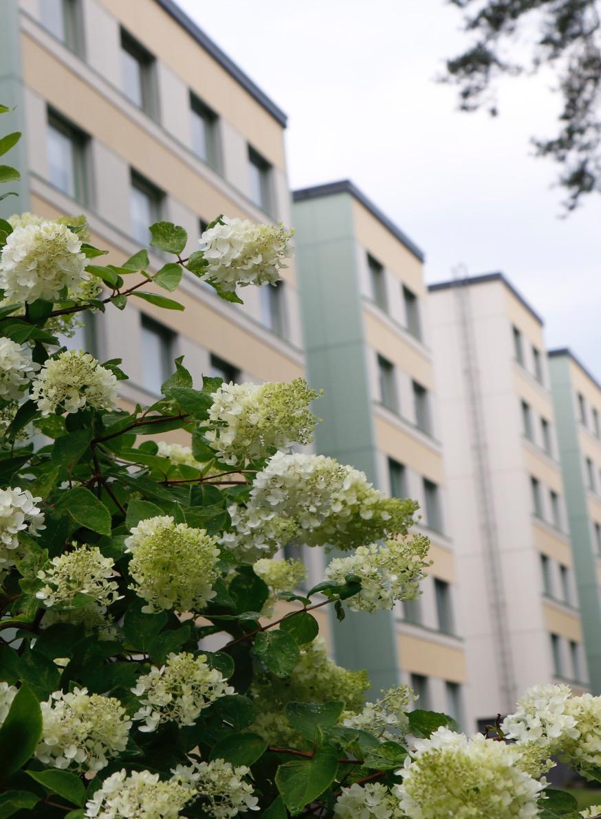 AKTIIVINEN OMISTAMINEN OMAISUUDEN VAALIMISEN KULMAKIVET Tero Heikkilä, toimitusjohtaja