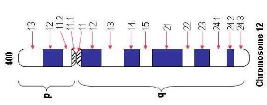 In Paris 1971 a mapping system known as the International System for Cytogenetic Nomenclature (ISCN) was established.