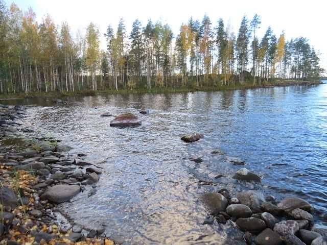 PUUMALA VÄÄRÄNIEMI, KYLKJÄRVI, MESSIJÄRVI, LAMMASSAARI, MUSTASAARI JA