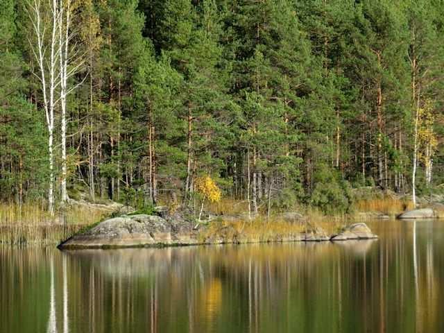 Alueella ei todettu rauhoitettuja tai uhanalaisia kasvilajeja tai uhanalaisille lajeille (direktiivin IV(a) lajit) soveltuvia elinympäristöjä,