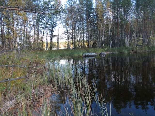 Saaren keskiosat ovat kivistä ja kalliosta maaperää, jonka humuskerros on ohut.