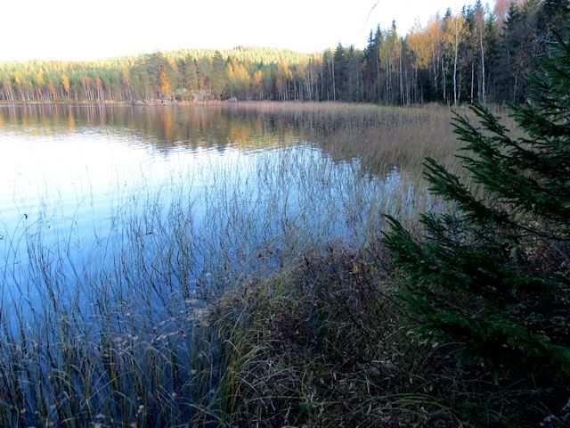 13 6. Pitkäpohjanlahti (LIITTEET, Kartta 5.) Pitkäpohjanlahti on matala, hiekkapohjainen lahti, jonka alavilla rannoilla oli todettavissa hieman soistumia.