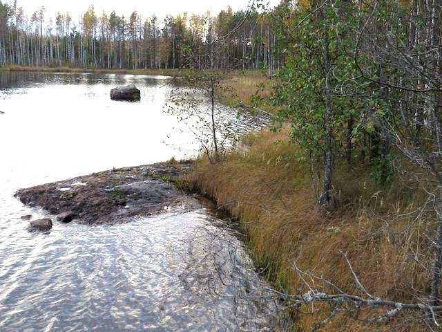 7 3. Messijärvi (LIITTEET, Kartta 2.) Messijärven suunnittelualue käsittää Messijärven pääaltaan pohjois- ja itärannat rantametsineen.