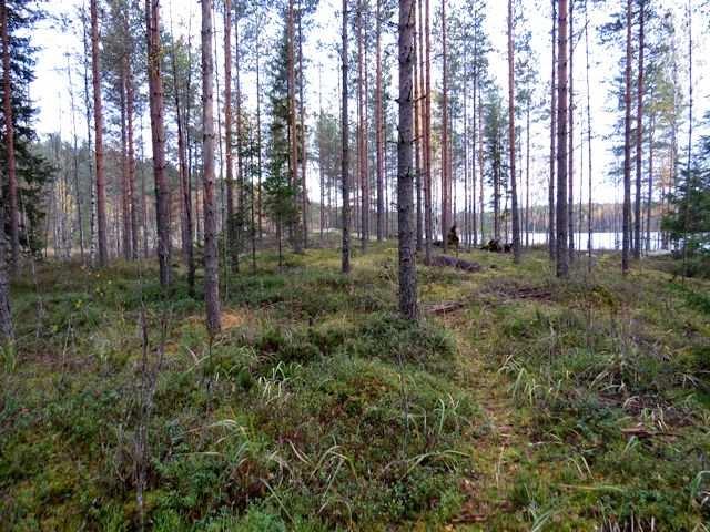 Niemen itäpuolen lahti on hieman syvempi, suojainen pieni poukama, jonka rannat ovat osin ajomaata ja poukamassa on yleinen veneranta (Kuva 12.).