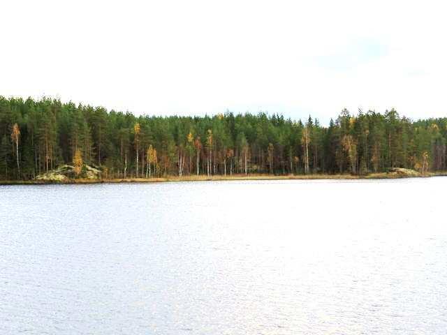 Alueella ei todettu rauhoitettuja tai uhanalaisia kasvilajeja tai uhanalaisille lajeille (direktiivin IV(a) lajit) soveltuvia elinympäristöjä, jotka olisi erityisesti huomioitava maankäytön