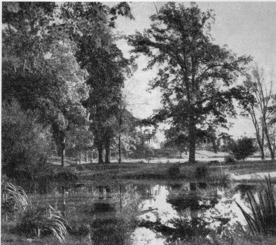 Suomen puutarhoja teoksessa vuonna 1949 julkaistu kuva maisemapuistosta, josta