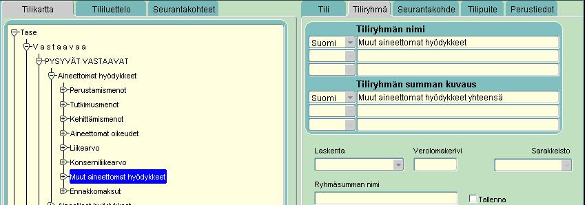 3) Klikkaa Tiliryhmän summan kuvaus kohdan selitettä.