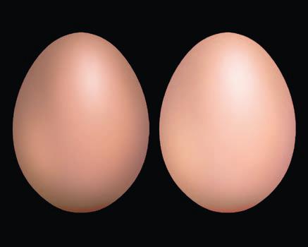 Kauneustesti kananmunilla * Kahden kananmunan päälle levitetään meikkivoidetta, minkä jälkeen niihin kohdistetaan valoa.