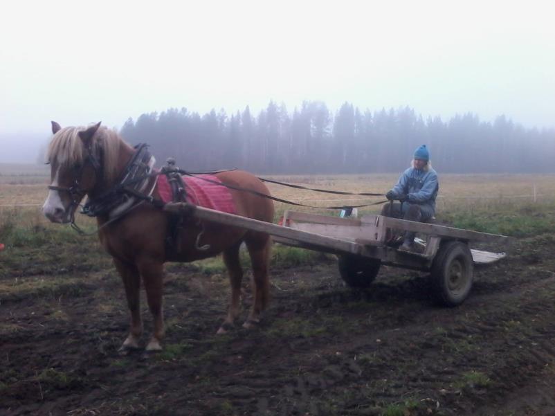 Muutos on mahdollisuus Stressi.