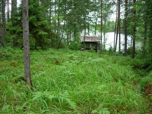 Mahdolliselle rakennusalueelle tehtiin neljä koepistoa (koepistot 1-4, ks.