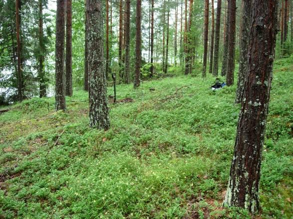 Alempana maasto on mäntymetsää. Alueelle 3 (3A + 3B) tehtiin yhteensä kuusi koekuoppaa/-pistoa (koepistot 5-10, ks. kartta 1, Liite 2 kuvaukset koekuoppien maannoksista).