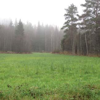 Keski-Suomen liitto on parhaillaan laatimassa 4. vaihemaakuntakaavaa.