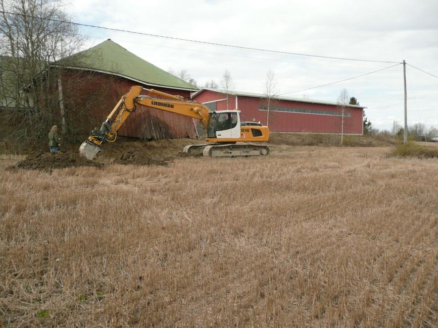 pellossa, kuvattu