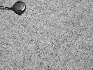 Pohjois eteläsuuntainen leikkaava diabaasijuoni Kurun graniittialueen harmaassa graniitissa. Kuva: Rasmus Nyman. Figure 5. Porphyritic red granite of the Kuru granite batholith on outcrop.