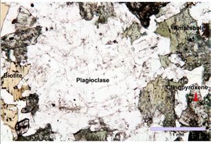 GEOTECHNICAL REPORT 6 Figure 8. Thin section showing mineral composition of diorite in the Kuru granite batholith. Plane polarized light. Photo: Heikki Pirinen, Geological Survey of Finland. Kuva 8.