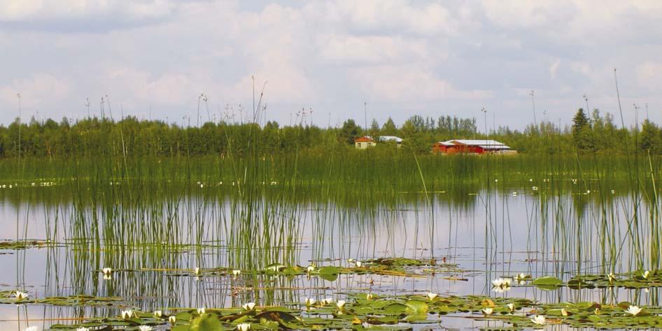 28 Marja Hägg ja Jorma Pessa