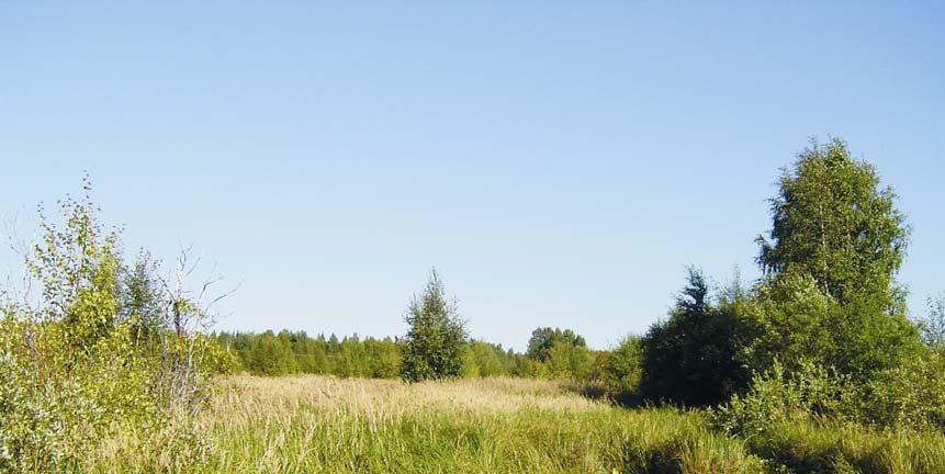 entiset niityt kasvavat umpeen ja