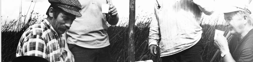 Kuva 33. Yhteistyötä parhaimmillaan. Niittopuuhien kahvitauolla Suovanperällä 1982 Eino Herva, Pentti Matila, Leevi Kurtti, Reino Suomela ja Pauli Erkkilä (kuva: Pentti Matilan kotiarkistosta). 7.