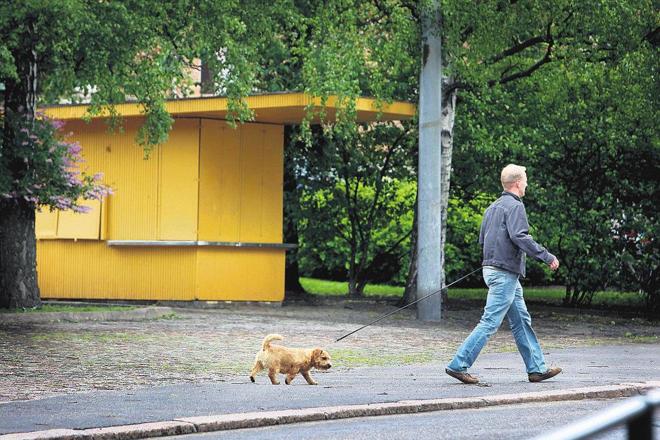 Kaupunki vuokraa lippakioskejaan Korkeasaari Suorana apinalinnasta Korkeasaaren eläintarha on asentanut apinalinnaansa kameran, jonka kautta voi seurata berberiapinoiden eloa suorana internetissä.