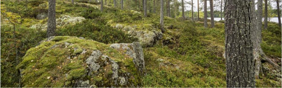 Taustalla on luonnosvaiheen kaavakartta, eikä