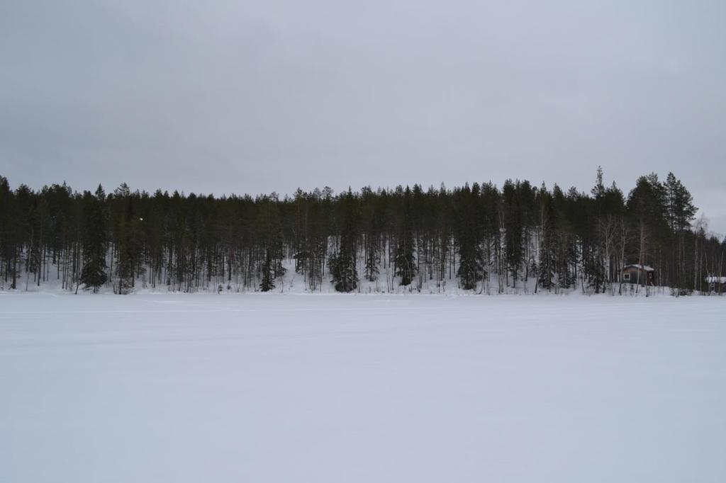 6 3 LÄHTÖKOHDAT 3.1 Selvitys suunnittelualueen oloista 3.1.1 Alueen yleiskuvaus Alue on rakentamaton luonnontilassa oleva metsäpalsta, joka rajoittuu Pyhäjärven vesialueeseen.