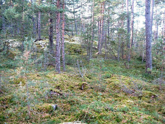 IDÄSTÄ PÄIN