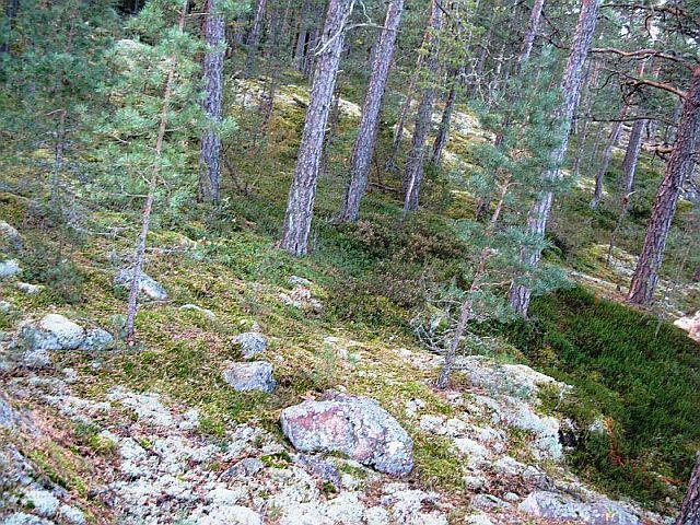 RAKENNUSPAIKKA