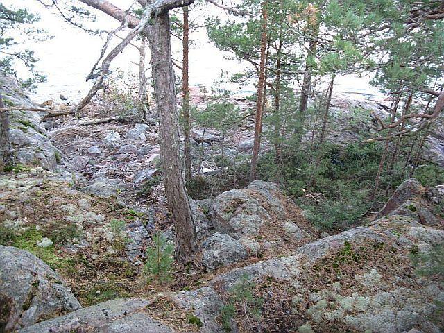HUOLTORAKENNUS