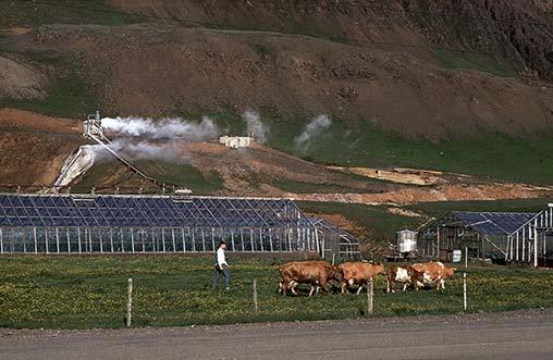 Yllä geoterminen uimala Reykholtissa ja kasvihuone Hveragerdissa.