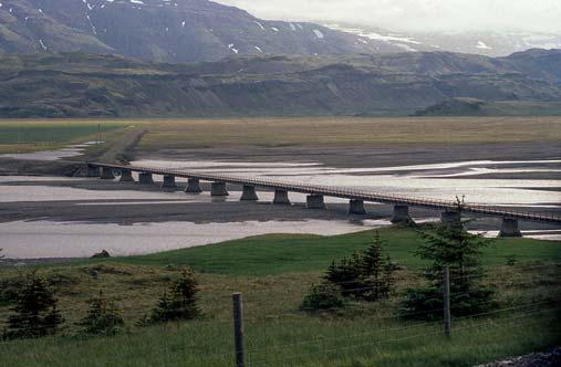 tuliperäisyyden vuoksi. Rengastiekin valmistui vasta vuonna 1974.