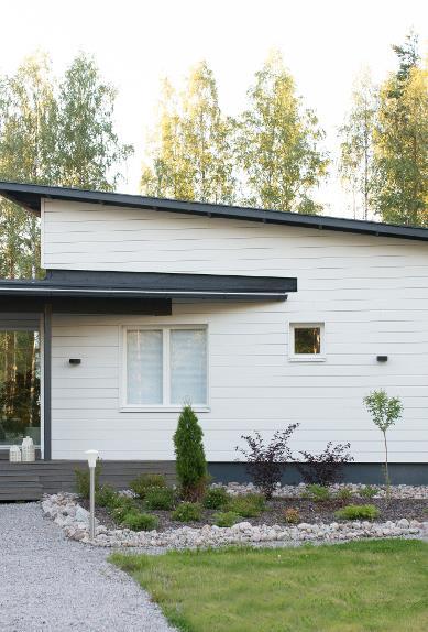 Mitä puun ostamisessa tulisi ottaa huomioon? Puu on yksilöllinen, kestävä ja ekologinen materiaali.