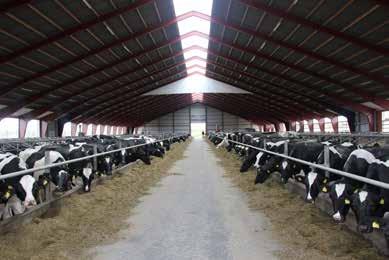 Bligård * 300 holstein-lehmää * keskituotos 11 500 kg EKM * 230 ha maissia, nurmea ja viljaa Olen hyvin avoin kaikelle uudelle.