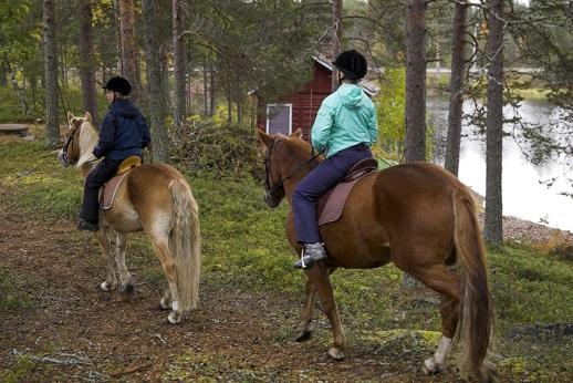 hiihtoon (osittain valaistut reitit) Marjastukseen, sienestykseen Kaupalliseen metsästykseen