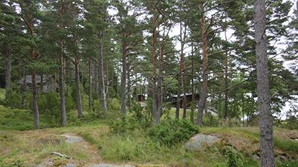 Venevaja hallitsee maisemaa.