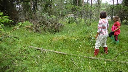 metsätalousalueeksi, kuva. Alue, johon siirrettävä tontti osoitetaan.