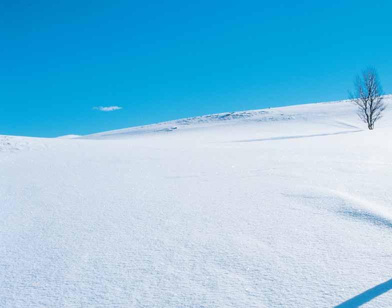 Rändrahvad jäid paikseks ja hakkasid endile eluasemeid ehitama. Põhjamaa talves jätkus lund rinnuni. Palgid jäätusid ja paukusid ning lõhenesid. Külm puges paratamatult kontidesse.