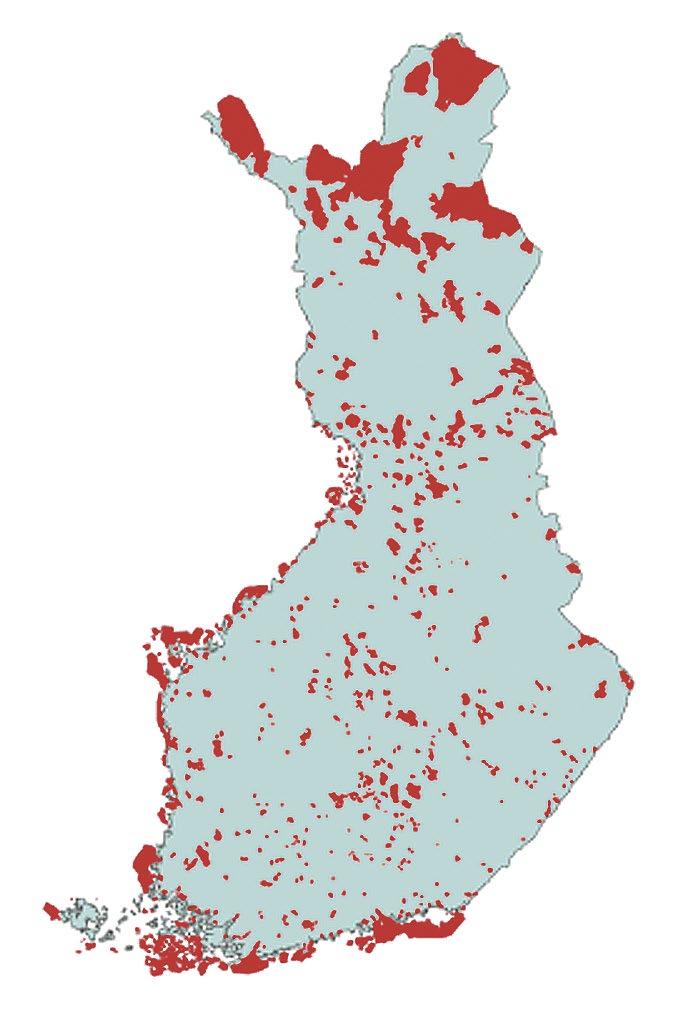 Tutkimus kuivuvat ja muuttuvat vähitellen pajukoiksi tai rantametsiksi tai soistuvat.