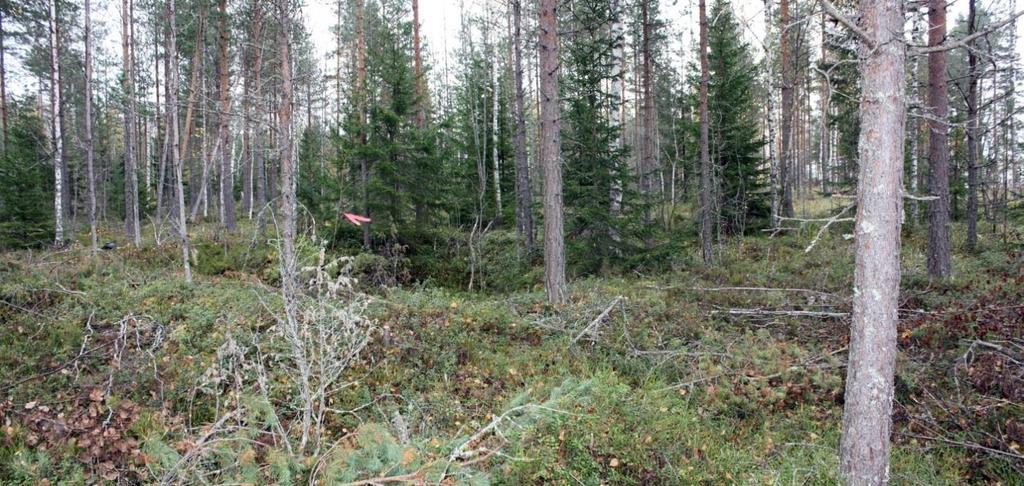 K3 itäkaakkoon kiinteistöjen Torsansalo ja Uusitalo rajalla.