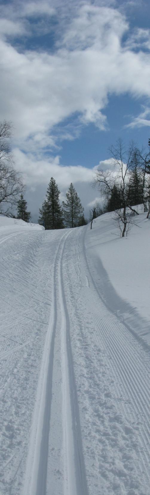 Kehittämisohjelman laatiminen Ohjelma on toteutettu Lapin ELY-keskuksen ESR-rahoitteisessa oman tuotannon hankkeessa (heinäkuu 2011 marraskuu 2012) Ohjelma on laadittu