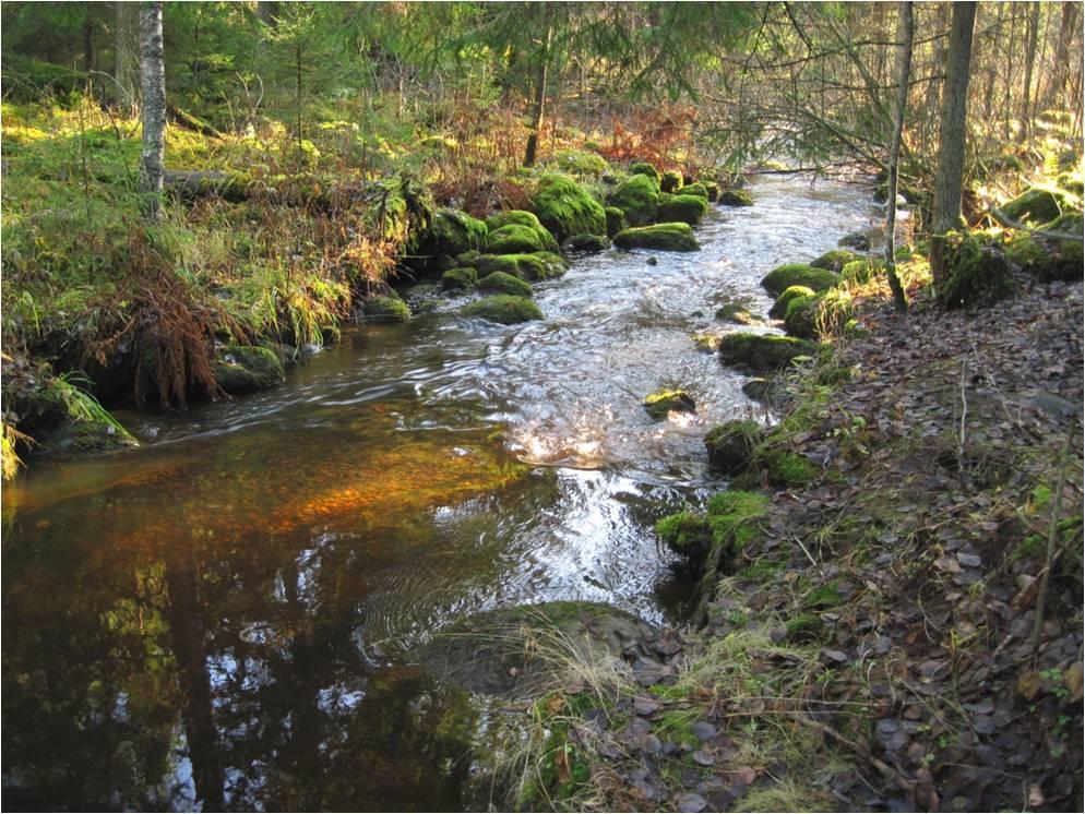 Rakennettu kutusoraikko