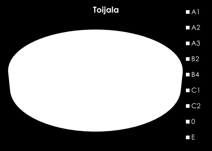 Viialan kaava-alueella B4-hoitoluokan, A3-luokan ja E-luokan pinta-ala