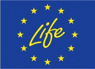 hanketta (LIFE12 NAT/FI/000367) Asianhallintalinkki MH 4733/2015